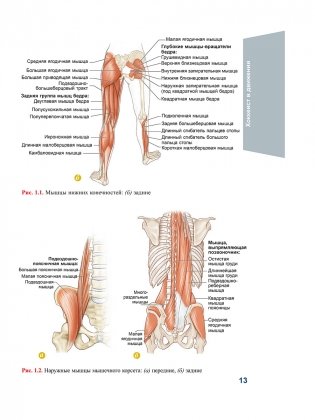 Анатомия хоккея фото книги 9