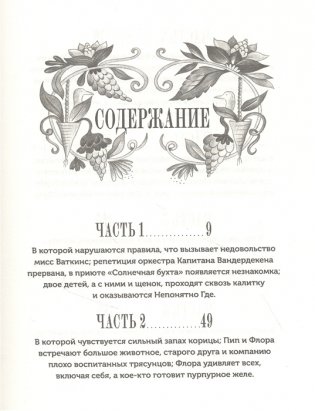 Изумительная Страна Снергов фото книги 2
