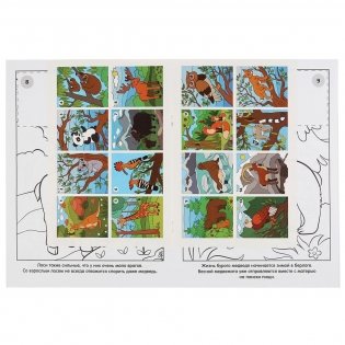 Дикие животные фото книги 2