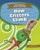 How Critters Climb фото книги маленькое 2