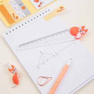 Линейка с топпером, 12 см, MESHU "Fox", пластиковая, прозрачная, европодвес. Арт. MS_36848 фото книги 6