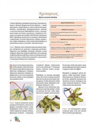 Объемная вышивка шелковыми лентами. Приемы и техники фото книги 4