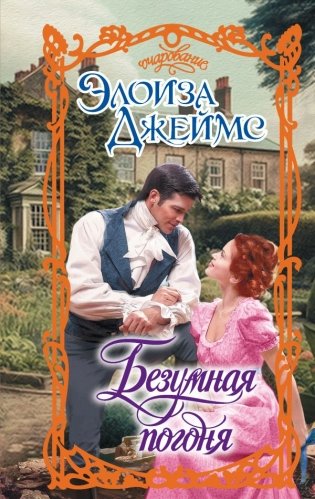 Безумная погоня фото книги