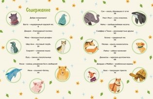 Животные-супергерои. Непридуманные истории для детей фото книги 6