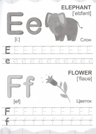 Английские прописи. Пишем буквы и цифры фото книги 4