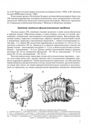 Основы колопроктологии фото книги 10