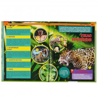 Тропические леса фото книги 4