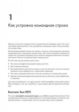 Linux для разработчиков фото книги 13