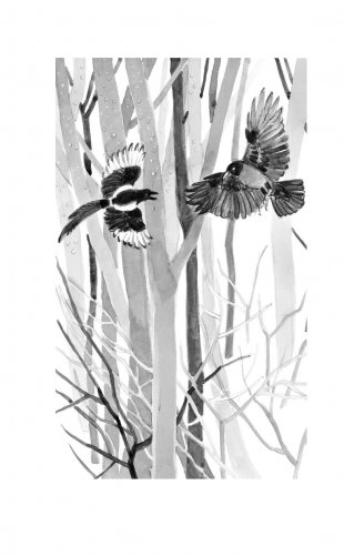 Бемби фото книги 3