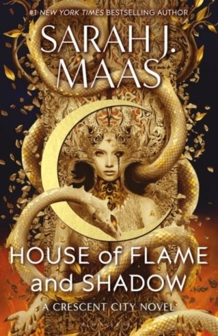 House of Flame and Shadow фото книги