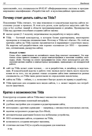 Создание сайтов на Tilda с использованием искусственного интеллекта. Самоучитель фото книги 13