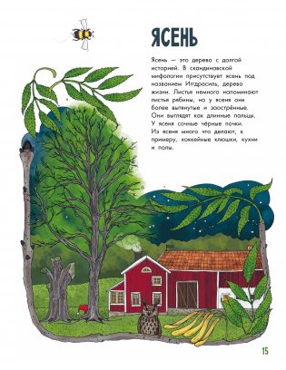 Деревья фото книги 6