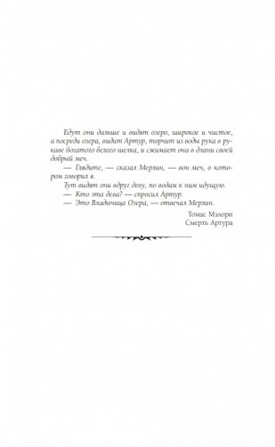 Ведьмак. Владычица озера фото книги 11