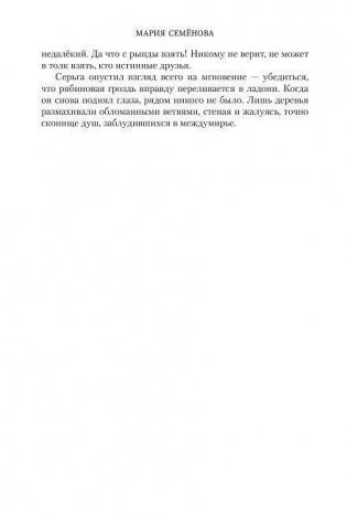 Братья. Книга 1. Тайный воин фото книги 12