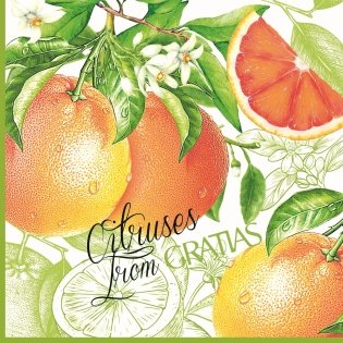 Салфетки бумажные "Gratias. Грепфрут", 3-слойные, 33x33 см, 20 штук фото книги