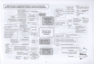 История Беларуси. Карты памяти. 9 класс фото книги 2