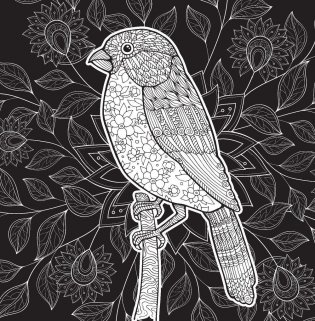 Свет и тень. Творческая раскраска с черно-белым фоном фото книги 8