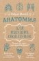 Анатомия для ищущих свой пупок фото книги маленькое 2