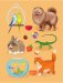 Первая книга о животных фото книги маленькое 7