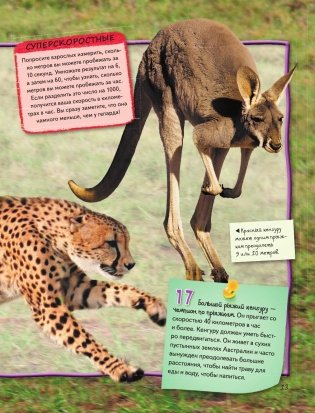 Животные фото книги 14