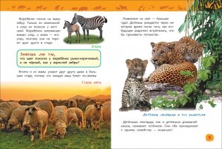 Детеныши животных. Энциклопедия для детского сада фото книги 3