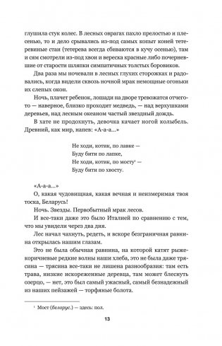 Дикая охота короля Стаха. Последняя повесть "Семейных преданий рода Яновских", рассказанная Андреем Белорецким фото книги 9
