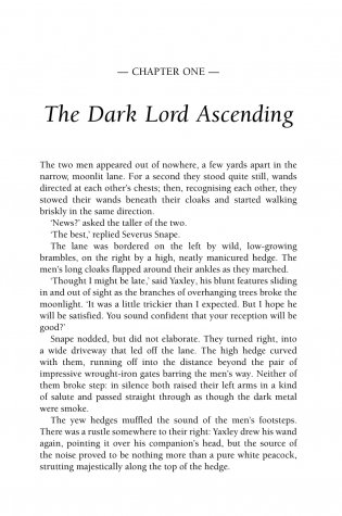 Harry Potter and the Deathly Hallows фото книги 2