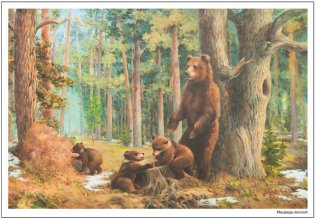 Картины из жизни диких животных. Наглядно-дидактическое пособие. 3-7 лет. ФГОС фото книги 3