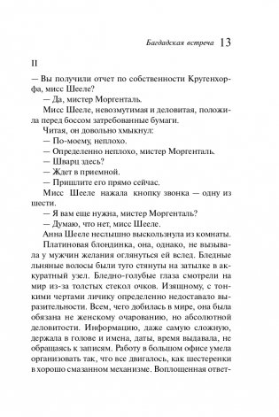 Багдадская встреча фото книги 14