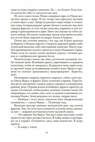 Чародей фото книги 17