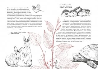 История кота, изменившего одну жизнь. Признание в любви фото книги 2