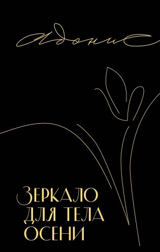 Зеркало для тела осени фото книги