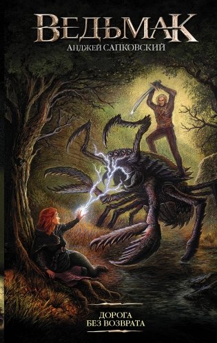 Ведьмак. Дорога без возврата фото книги