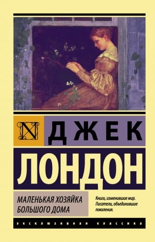 Маленькая хозяйка Большого дома фото книги