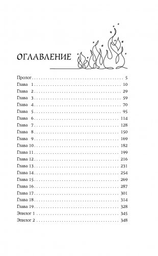 Хрустальная туфелька 43-го размера фото книги 2