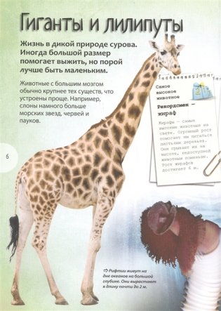 Животные. Энциклопедия удивительных фактов фото книги 2