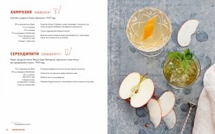 Практическая миксология. Девайсы. Техники. Ингредиенты фото книги 3