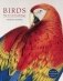 Birds: The Art of Ornithology (Boxed Set) фото книги маленькое 2