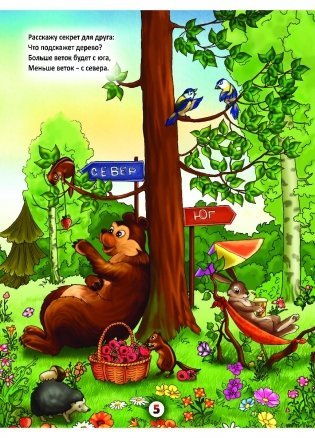 Летом в лесу фото книги 4