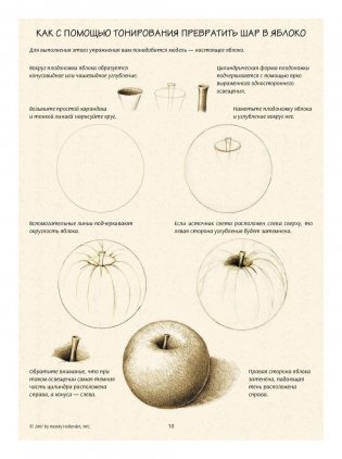 Ботаническая иллюстрация. Обучающий скетчбук фото книги 10