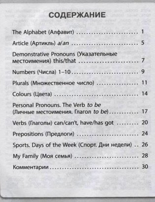Английский язык. 2 класс. Тренажёр для закрепления знаний фото книги 2
