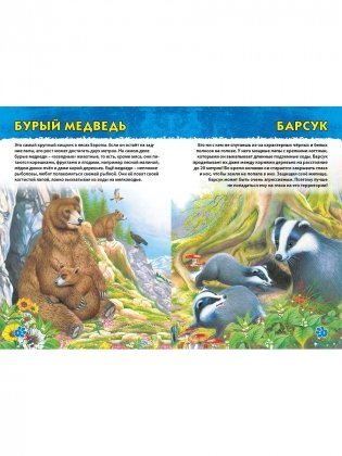 Животные мира. Первая энциклопедия дошкольника фото книги 3