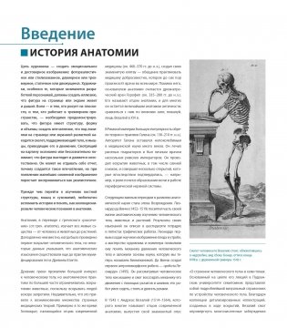 Фигура человека для художника. Большая книга анатомии, референсов и художественных поз фото книги 7