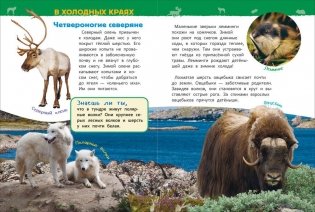 Животные России. Энциклопедия для детского сада фото книги 2