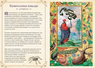 Магические животные. Легенды и суеверия фото книги 5