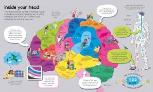 Big Book of The Body фото книги 6