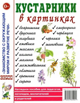 Кустарники в картинках. Наглядное пособие для педагогов, логопедов, воспитателей и родителей фото книги