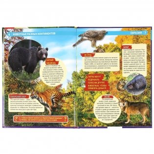 Энциклопедия. Животные разных континентов фото книги 4