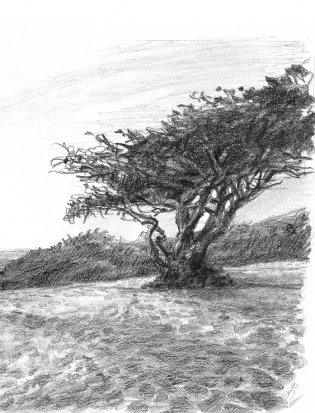 Полный курс рисунка и живописи. Лучшее от Walter Foster фото книги 9