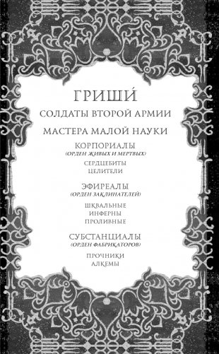 Тень и кость фото книги 2